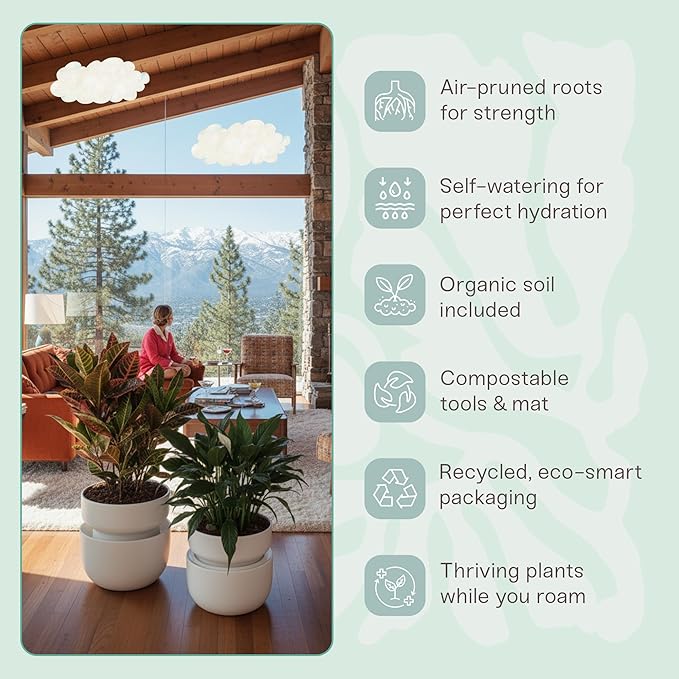 Tendril The SWAP+ Self-Watering Planter | 10" Ceramic Indoor Pot with Air-Pruning Liner, Tools & Repotting Mat