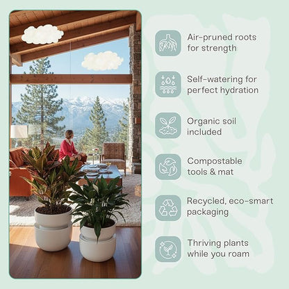 Tendril The SWAP+ Self-Watering Planter | 10" Ceramic Indoor Pot with Air-Pruning Liner, Tools & Repotting Mat
