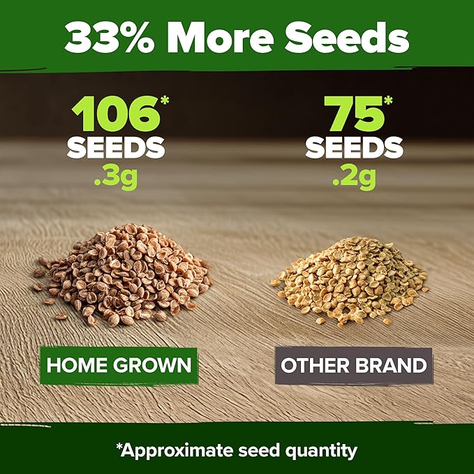 HOME GROWN 𝗨𝗦𝗔 𝗣𝗥𝗘𝗠𝗜𝗨𝗠 Cherokee Purple Tomato Seeds 1 Pack (Solanum lycopersicum) - 106 Seeds, 𝗡𝗢𝗡-𝗚𝗠𝗢 Tomato for Planting - Heirloom Vegetable Seeds with High Germination Rate