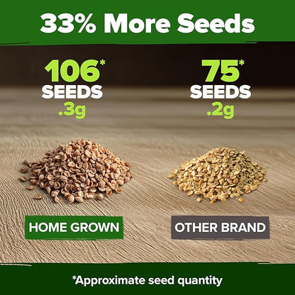 HOME GROWN 𝗨𝗦𝗔 𝗣𝗥𝗘𝗠𝗜𝗨𝗠 Cherokee Purple Tomato Seeds 1 Pack (Solanum lycopersicum) - 106 Seeds, 𝗡𝗢𝗡-𝗚𝗠𝗢 Tomato for Planting - Heirloom Vegetable Seeds with High Germination Rate