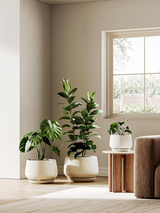 LE TAUCI Ceramic Planters, 12 Inch Pots for Plants, Indoor Plant Pots with Drainage Holes and Saucers, Modern Planters Fit Mid Century Plant Stand, Flower Pots for Indoor Plants, Reactive Glaze Beige