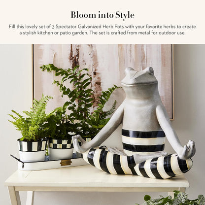 MACKENZIE-CHILDS Galvanized Herb Pots with Tray, Metal Herb Planters, Set of 3, Spectator