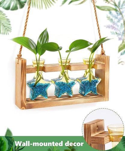Nacome Star Glass Propagation Stations: Plant Terrarium with Wooden Stand Vase for Home Office Desk Decor, Unique Gifts for Plant Lovers Women Mom (Yellow)
