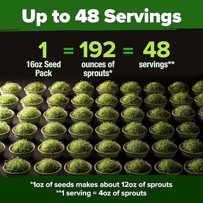 HOME GROWN Premium Sprouting Seeds Mix - Microgreens Seeds for Indoor Growing - Non-GMO Broccoli, Alfalfa, Radish, Clover Sprouts Seed - 16oz Resealable Pack for Healthy Salad & Juicing