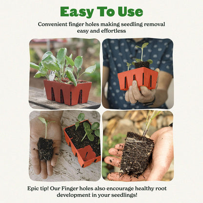 Epic Gardening Reusable Seed Starter Tray - 6 Cell/72 Seedling Starter Trays - Easy Watering, Indoor Greenhouse, Plant Starter, Gardener-Friendly for Seedlings | UV-Treated & BPA-Free - Terracotta