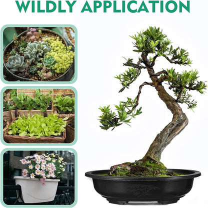 ERINGOGO 6 PCS Bonsai Training Pots, 15'' Oval Bonsai Planter Pot with Drainage Hole, Plastic Large Deep Flower Pot Plants Growing Pots for Nursery, Garden, Balcony