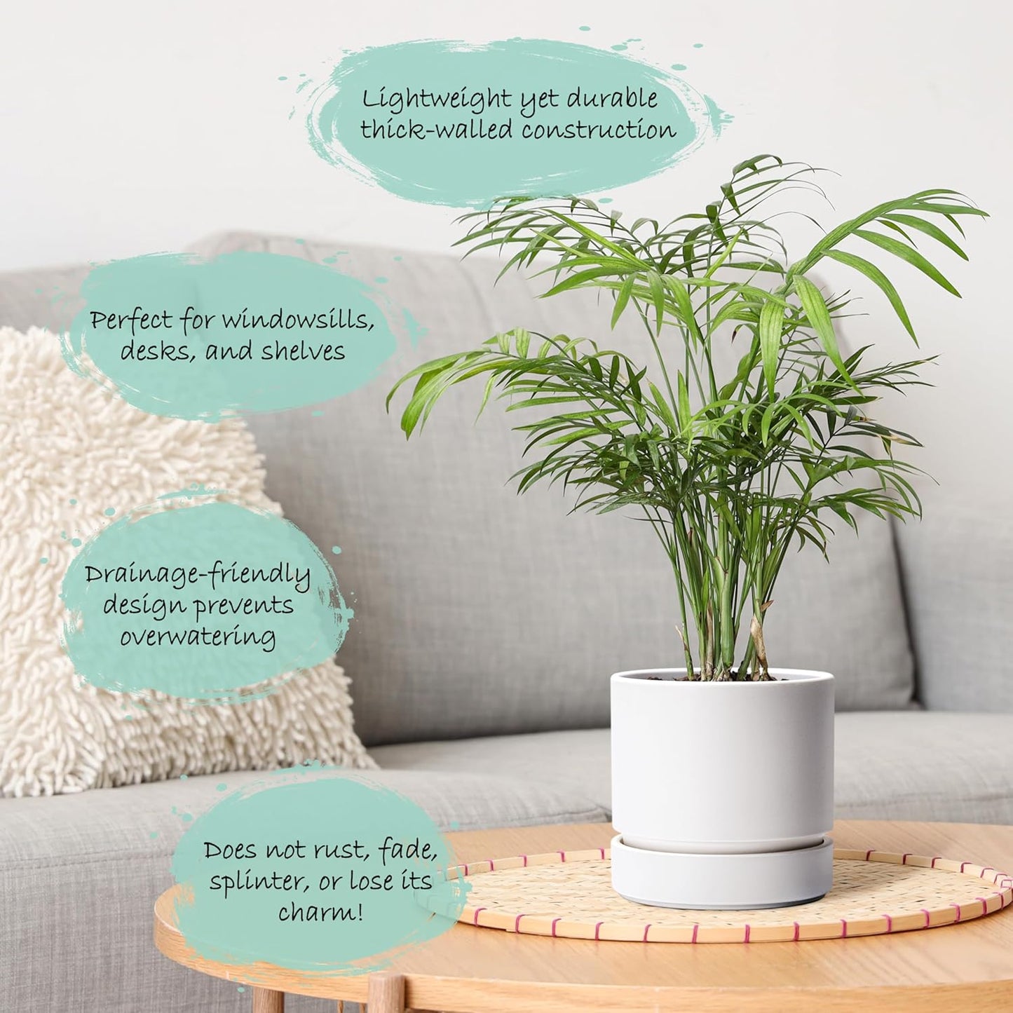 Phoenix Vine 6 Inch and 8 Inch Planter Pot with Drainage Hole & Deep Water Catch Tray Saucer, Straight Cylindrical Round Pot for Plants, Matte White, 23-A-1-Y