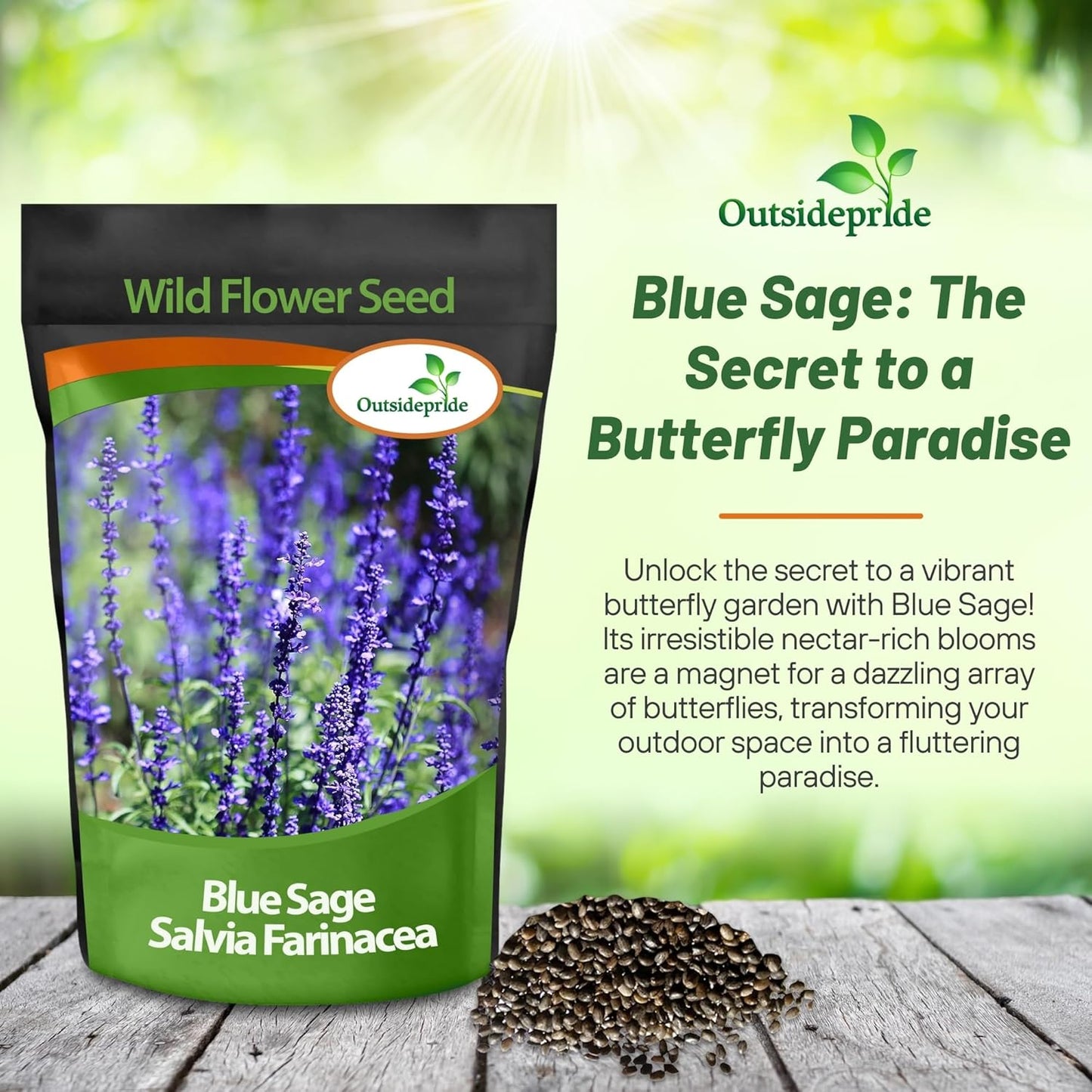 Outsidepride Blue Sage Seeds - 1/4 Lb. Perennial, Drought-Tolerant & Deer-Resistant Wildflower Seeds w/Fragrant Blooms for Pollinator Attractant for Butterfly & Hummingbird Gardens & Landscaping