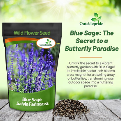 Outsidepride Blue Sage Seeds - 1/4 Lb. Perennial, Drought-Tolerant & Deer-Resistant Wildflower Seeds w/Fragrant Blooms for Pollinator Attractant for Butterfly & Hummingbird Gardens & Landscaping