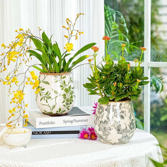 Sungmor Vintage Ceramic Plant Pots, Set of 2 Pretty Ice Cracked Glaze Ceramic Flower Pots, 5.7in. Herb Planters with Drainage Hole, Tuscan Planters for Indoor Outdoor Plants, Home Garden Decor Pot