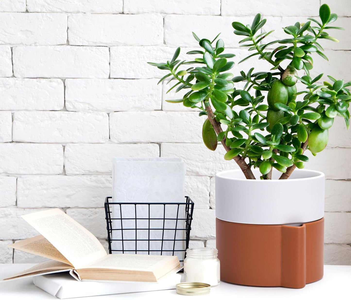 6.5 Inch Self-Watering Planter Pot with Terracotta Insert, Deep Water Reservoir, and Ceramic-Alike BPA-Free Plastic Pot for Plant, Modern Planter for Houseplants, Terracotta/White, 53-B-S-6