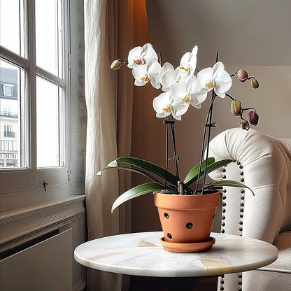 Clay Orchid Pots with Holes,Terracotta Orchid Pots with Drainage Holes & Saucer for Repotting 6 Inch, Orchid Planters for Indoor Plants