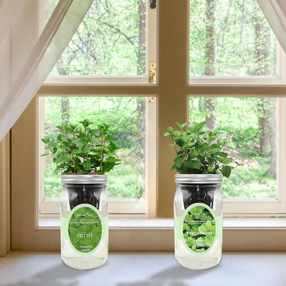 2-Pack Hydroponic Mason Jar Herb Garden Kit, Indoor Herb Garden Self-Watering Starter Kit (Mint,Peppermint)
