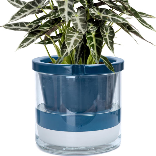 D'vine Dev 10 Inch Design Self Watering Planter for Indoor Plants, Blue Terracotta Pot with Cylinder Glass Cup, 37-X-D-4