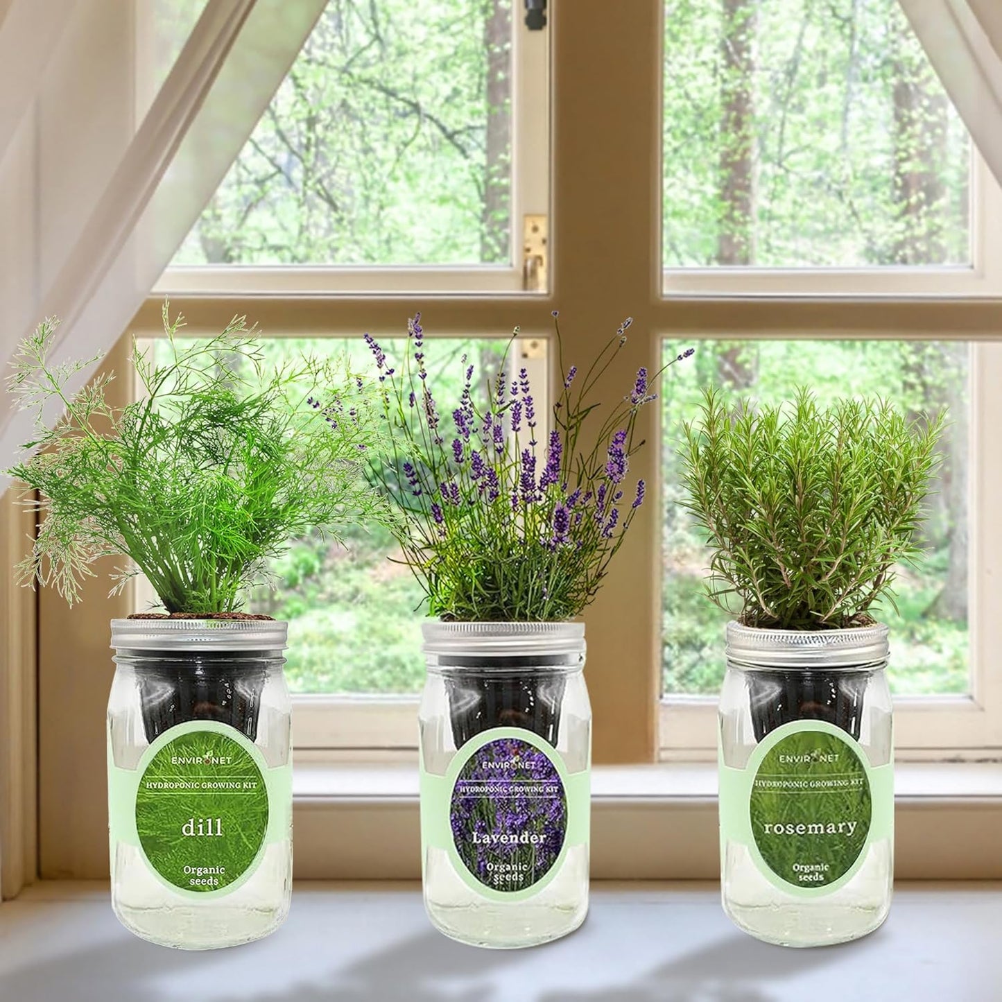 Hydroponic Herb Growing Kit Set, Self-Watering Mason Jar Herb Garden Starter Kit Indoor, Grow Your Own Herbs from Seeds (Dill, Lavender & Rosemary)