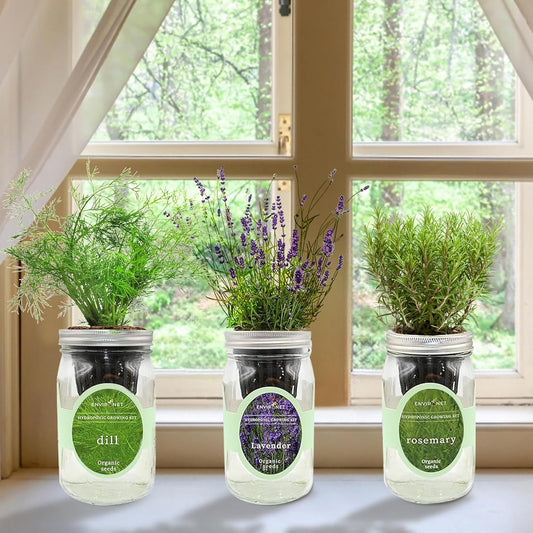 Hydroponic Herb Growing Kit Set, Self-Watering Mason Jar Herb Garden Starter Kit Indoor, Grow Your Own Herbs from Seeds (Dill, Lavender & Rosemary)