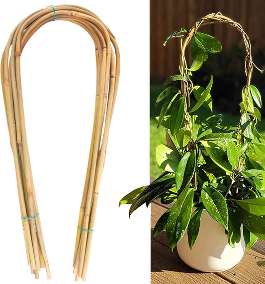 Avalution 16" Natural Bamboo Plants Trellis U-Hoop,Bamboo Gaeden Trellis U-Shape for Climbing Plant Support-20PCS