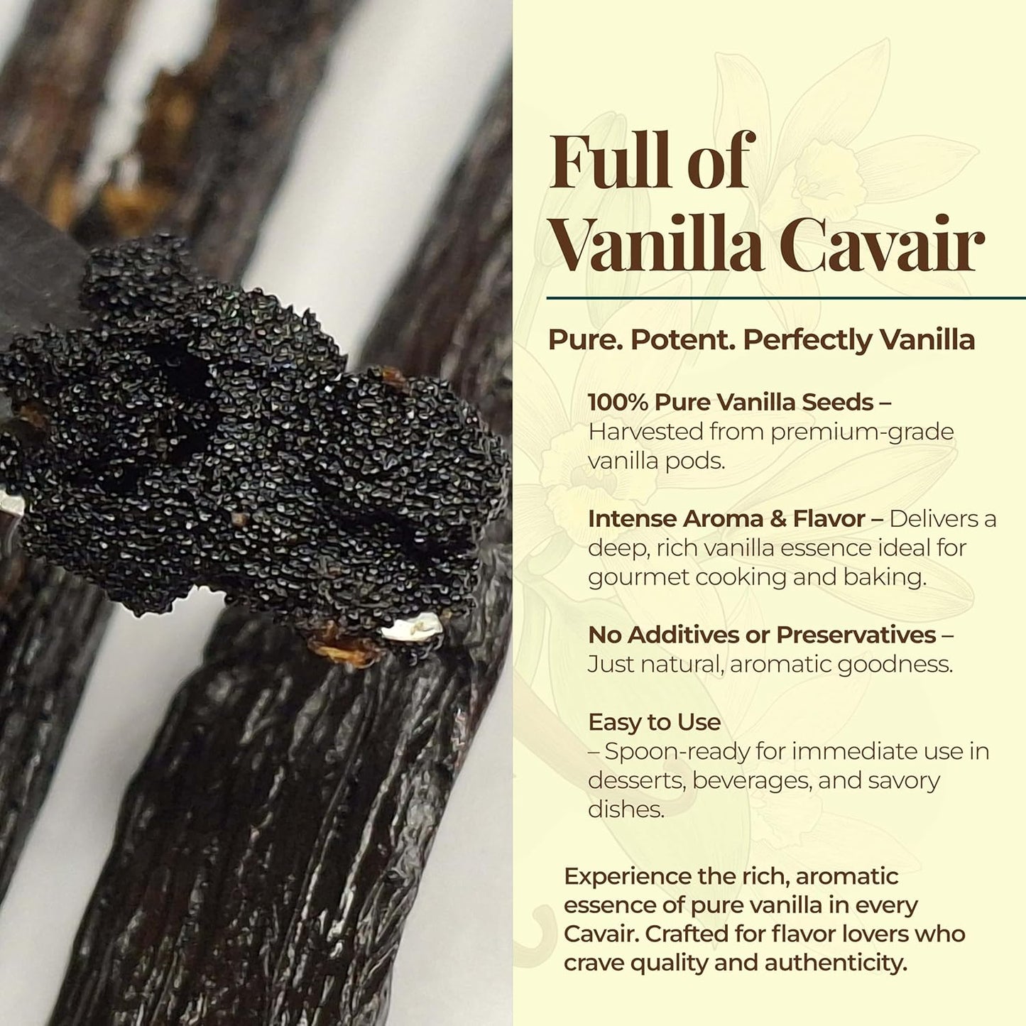 10 Whole Vanilla Beans Grade A+, Premium Bulk Vanilla Bean Pods For Making VanillaExtract and Baking, 6-8 Inches, Non GMO. by NYVanilla