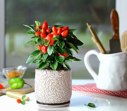 D'vine Dev 5 Inch Embossed Leaves Stoneware Planter Pot with Drainage Hole and Saucer, Smoked White, Set of 1, 27-A-V-1