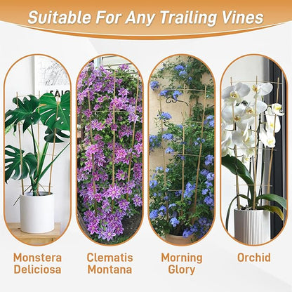 10 Pack 2ft Bamboo Trellis for Climbing Plants-Natural Garden Ladder Trellis, Fan -Shaped Support Trellis for Potted Plant Decor in Door