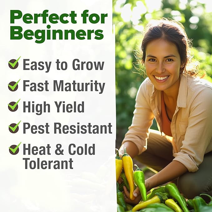 HOME GROWN 𝗨𝗦𝗔 𝗣𝗥𝗘𝗠𝗜𝗨𝗠 Banana Pepper Seeds Pack – 94 𝗡𝗢𝗡-𝗚𝗠𝗢 Heirloom Vegetable Seeds – High Germination Sweet Peppers for Planting Indoors or Outdoor Garden (Capsicum annuum) (1pack)