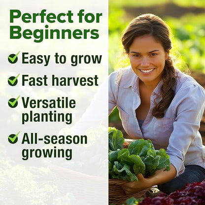 HOME GROWN 5 Lettuce Seed Pack – 3950 Heirloom Vegetable Seeds for Indoor, Outdoor, or Hydroponic Growing – Black Seeded Simpson, Red Romaine, Bibb, Buttercrunch, Iceberg Varieties (Lactuca Sativa)