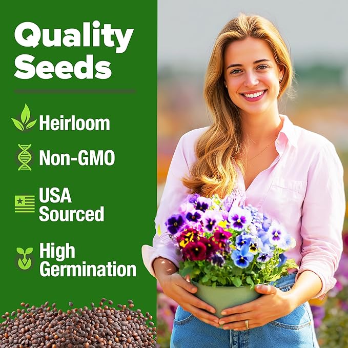 HOME GROWN Pansy Swiss Giants Mix - 1,500 Flower Seeds (2.13g) - Fall Planting Pansies Seed - Edible Viola Seeds - Cold Hardy Annuals for Containers & Outdoor Gardens (Viola × wittrockiana)