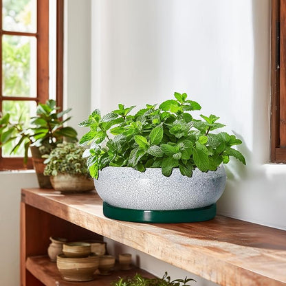 Succulent Planters 10 Inch - Ceramic Bonsai Pots with Drainage Hole and Saucer, Large Succulent Pots Indoor, Shallow Planter, Round Bowl Planter Outdoor, Patio Decor, Plant Lover Gift, Green