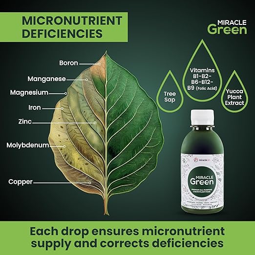 Miracle Green Fast-Acting Liquid Fertilizer- Special Formula with Tree Sap & Yucca Plant Extract - All-Purpose Fertilizer for Houseplants, Flowers, Fruits, Vegetables & Trees (8 oz Plant Food)