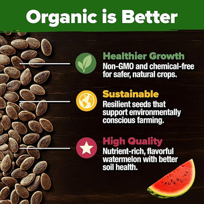 HOME GROWN 𝗨𝗦𝗔 𝗣𝗥𝗘𝗠𝗜𝗨𝗠 𝗢𝗥𝗚𝗔𝗡𝗜𝗖 Watermelon Vegetable Seeds (Crimson Sweet) – 15 Non-GMO, Heirloom Water Melon (7g) for Planting in Home Gardens or Beds Outdoors – Citrullus lanatus