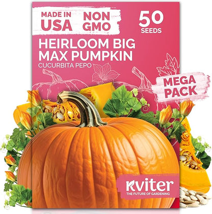KVITER 25 Big Max Pumpkin Seeds for Planting (Cucurbita Pepo) – Giant Heirloom & Organic Pumpkin Seeds, Up to 100 lbs – Ideal Vegetable Seed Packets for Home Outdoor Garden