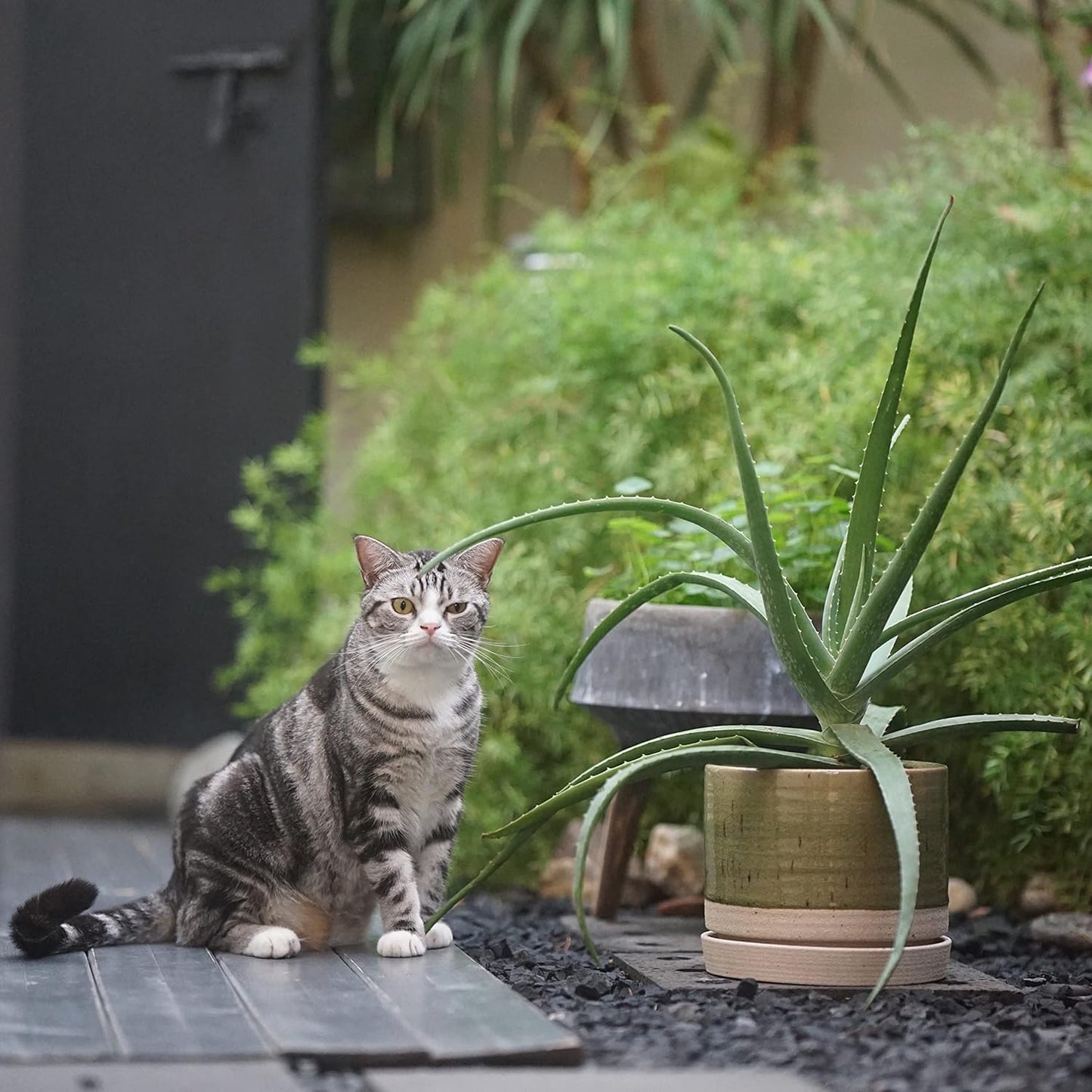 6 + 8 Inch Plant Pots, Ceramic Planter Pot with Drainage Hole & Saucer, Indoor/Outdoor Cylinder Round Planter Pot, Green