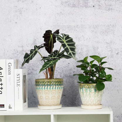 6 Inch + 5 Inch Ceramic Planter with Drainage Hole and Saucer for Plants, Indoor-Outdoor Round Succulent Orchid Garden Flower Pot - Set of 2