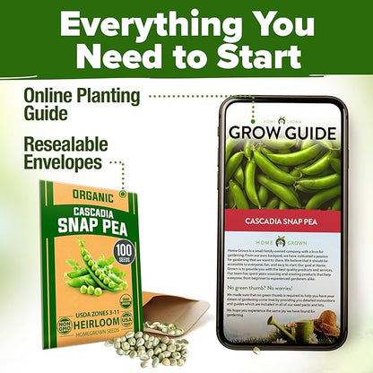 HOME GROWN - Snap Pea Seeds for Planting - Organic, Heirloom Cascadia Variety - 100 Non-GMO Vegetable Seeds - Cool Season Crop for Containers - Sweet Flavor, Fast Germination (Pisum sativum)