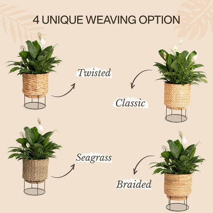 Set of 2 Water Hyacinth Planter Pot with Metal Stand - Indoor Flower, Succulent & Basket Planter - Decorative Braided Pot Cover