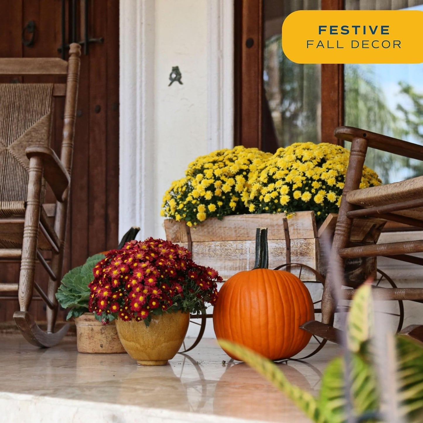 Costa Farms Live Flowering Yellow Mums (Pack of 4), Mini Chrysanthemum Houseplant, Full Bloom Plant Delivery, Potted in Grower Pot, 11-Inches Tall