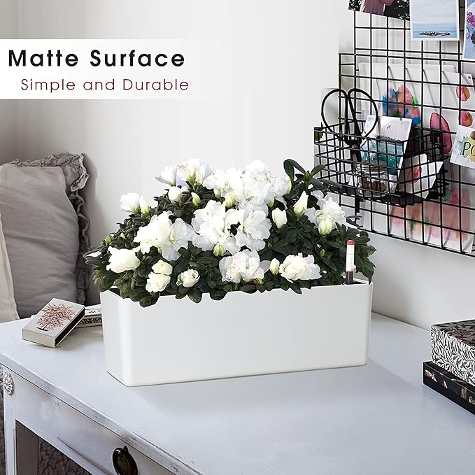 GardenBasix Elongated Self Watering Planter Pots 2-Pack Window Box 5.5 x 16 inch Indoor Home Garden Modern Decorative Planter Pot for All House Plants Flowers Herbs (White,2)