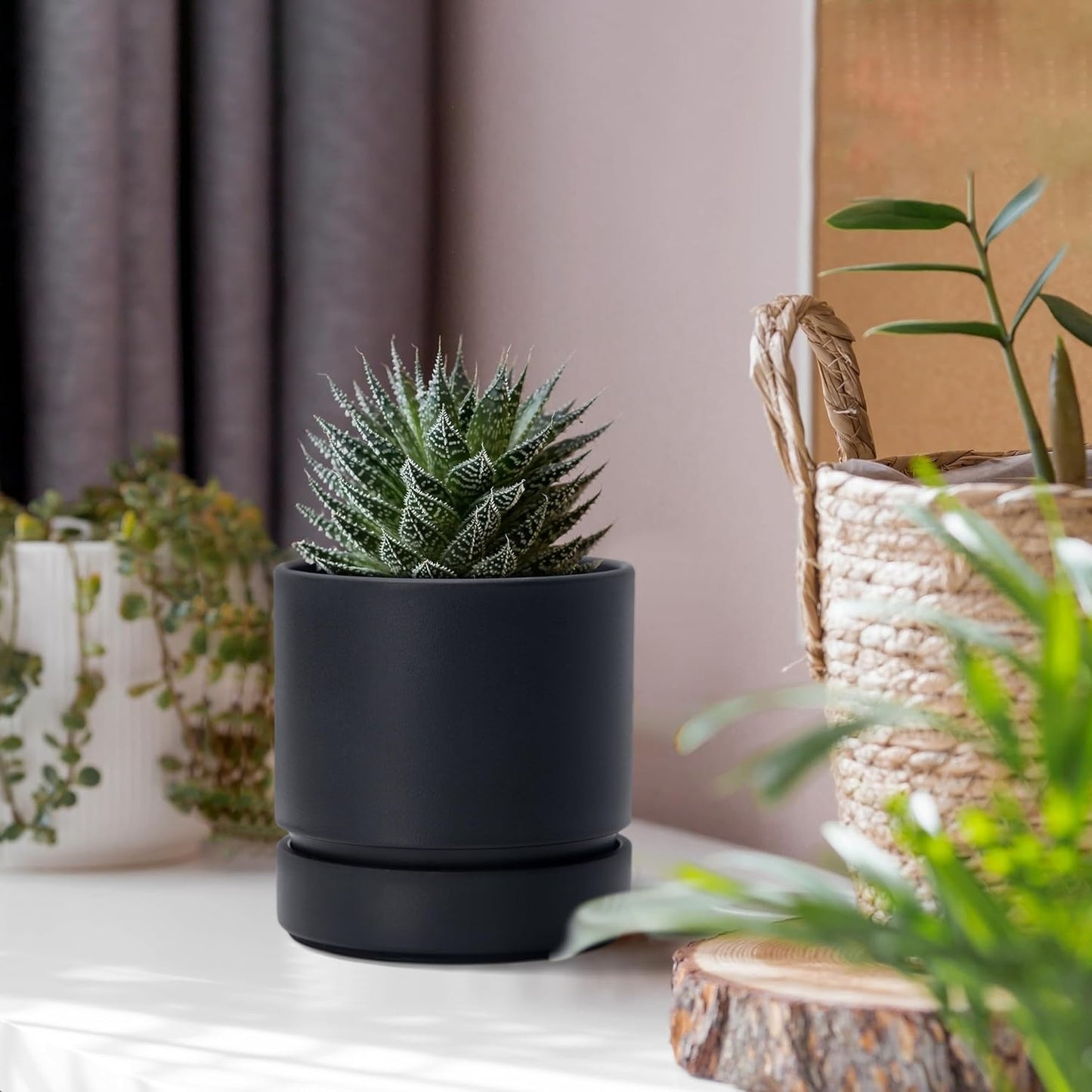 Phoenix Vine 4 Inch Planter Pot with Drainage Hole & Saucer, Deep Water Catch Tray, Straight Cylindrical Round Pot for Plants, Matte Black, Pack of 6, 23-C-R-6