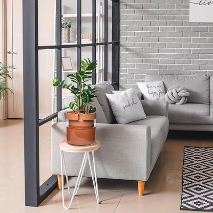 Phoenix Vine 10 Inch Self Watering Planter Pot, Terracotta Clay Pot with Glass Reservoir for Indoor Plants, Herbs, Flowers, Set of 1, 52-A-I-1