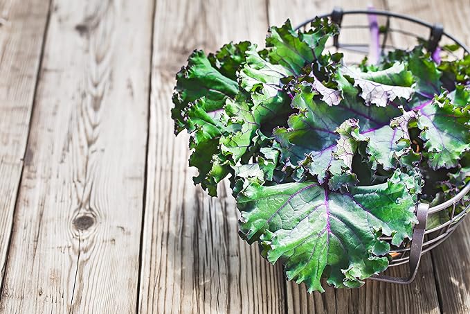 Greens Seeds Collection, 2500+ Seeds, 9 Heirloom Varieties, Arugula, Beet, Upland Cress, Vates Collard, Red Russian Kale, Crisphead Lettuce, Parris Island Lettuce, Tatsoi Mustard, Viroflay Spinach