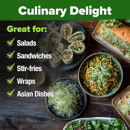 HOME GROWN 𝗨𝗦𝗔 𝗣𝗥𝗘𝗠𝗜𝗨𝗠 Alfalfa Sprout Seeds 16oz Bulk Pack with Thousands of Seeds 𝗡𝗢𝗡-𝗚𝗠𝗢 Alfalfa for Sprouting & Microgreens Indoor Outdoor Growing Resealable Bag High Germination