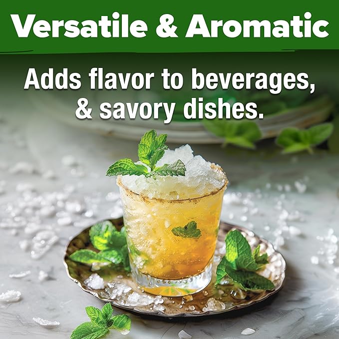 HOME GROWN 𝗨𝗦𝗔 𝗣𝗥𝗘𝗠𝗜𝗨𝗠 Common Mint Seeds (Bulk Pack) 1,800 𝗡𝗢𝗡-𝗚𝗠𝗢 Heirloom Herb Seeds, USA Sourced | Ideal for Planting Outdoors or Indoors for a Fresh Mint Tea Garden (Mentha spp)