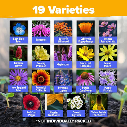 HOME GROWN Premium Wildflower Seeds Bulk Mix (2oz) - 59,300+ Seeds with 19 Varieties for Pollinators - Wild Flower Seed for Bees, Butterflies - Perennial & Annual Throw and Grow Seed Mix