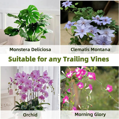 Avalution 20 Pack Bamboo Trellis for Climbing Plants Indoor, 16 Inch Garden Ladder Trellis for Potted Plants, Fan-Shaped Small Plant Support Trellis for Houseplants Ivy Hoya Vine Monstera