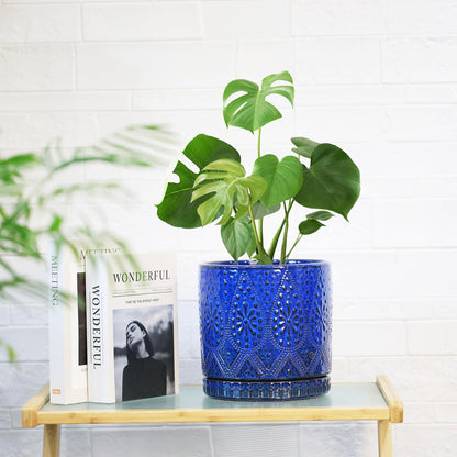 8 Inch + 6 Inch Indoor Plant Pot with Drainage Holes and Saucers, Ceramic Planter for Plants Succulent Orchid Flower Pots