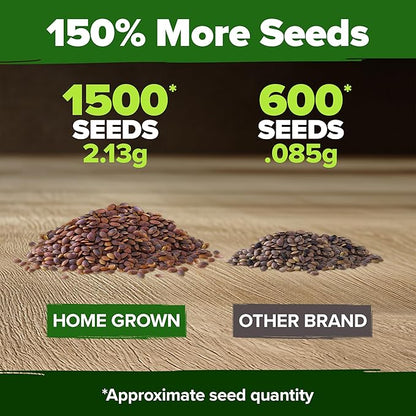 HOME GROWN Pansy Swiss Giants Mix - 1,500 Flower Seeds (2.13g) - Fall Planting Pansies Seed - Edible Viola Seeds - Cold Hardy Annuals for Containers & Outdoor Gardens (Viola × wittrockiana)