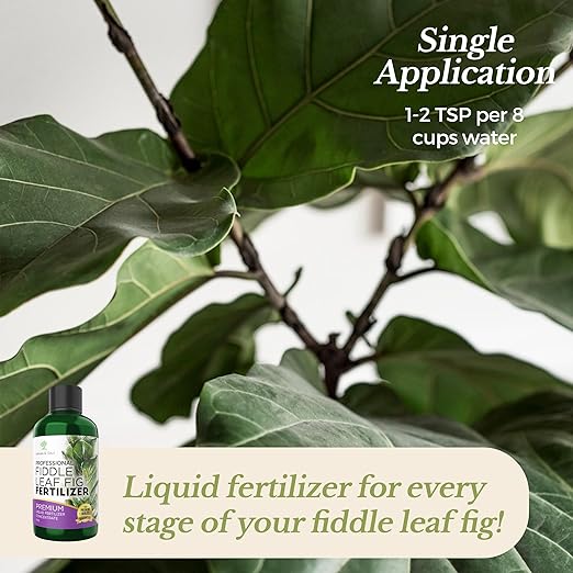 Leaves and Soul Professional Liquid Fiddle Leaf Fig Plant Fertilizer | 3-1-2 Concentrate for House Plants | 8 oz Bottle