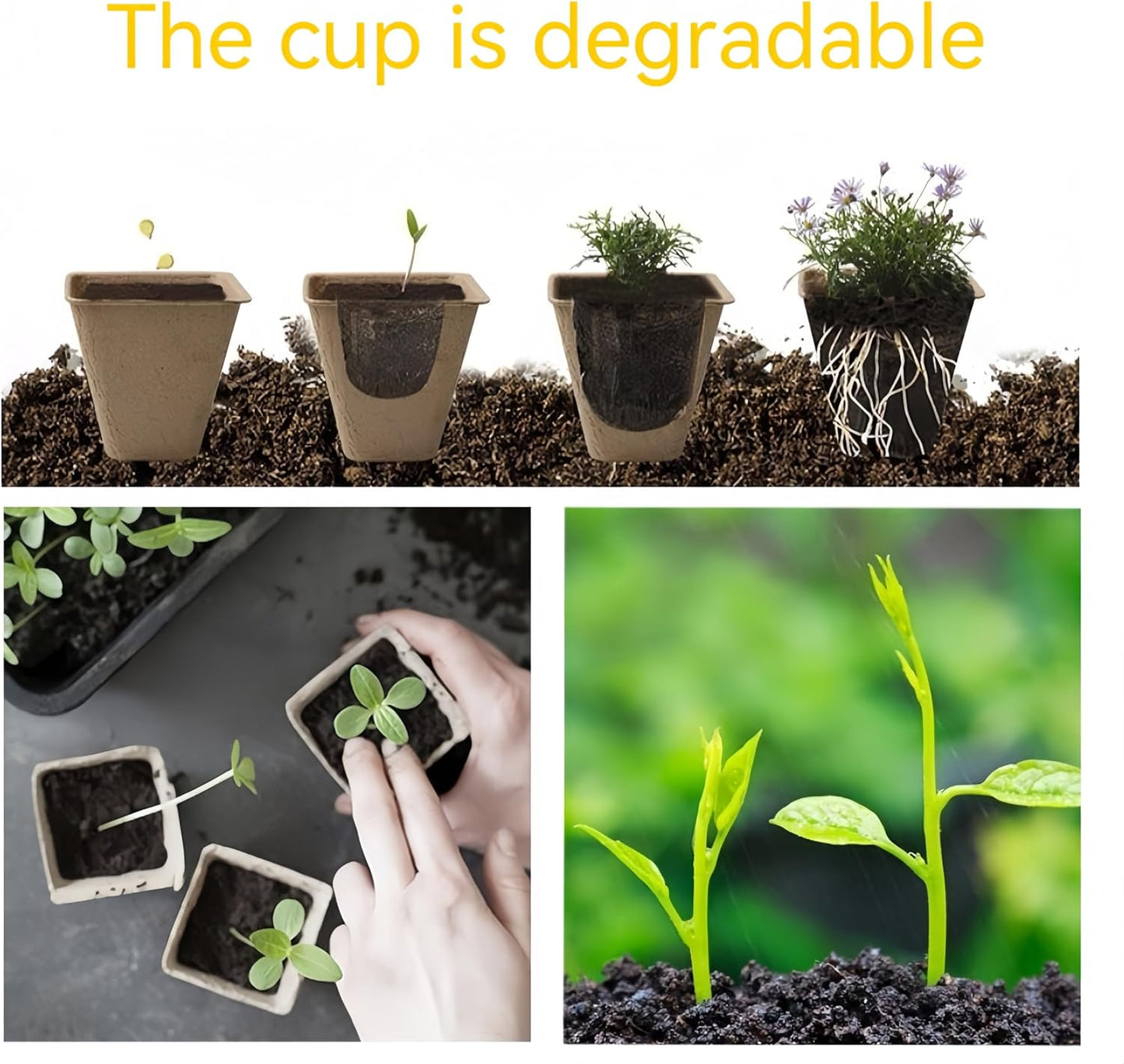 240 Cells Peat Pots Seed Starter Tray 24 Packs Biodegradable Seedling Pots Germination Trays Peat Pot for Seedling Organic Seed Starting Trays kit with 24 Labels 2 Transplant Tools