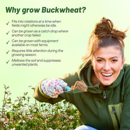 Outsidepride Buckwheat Seeds - 1lb Annual, Fast-Growing, Easy to Grow Buckwheat Cover Crop Seeds for Green Manure, Bee Pasture & Pollinators, Wildlife Habitat, Soil Improvement, and Erosion Control