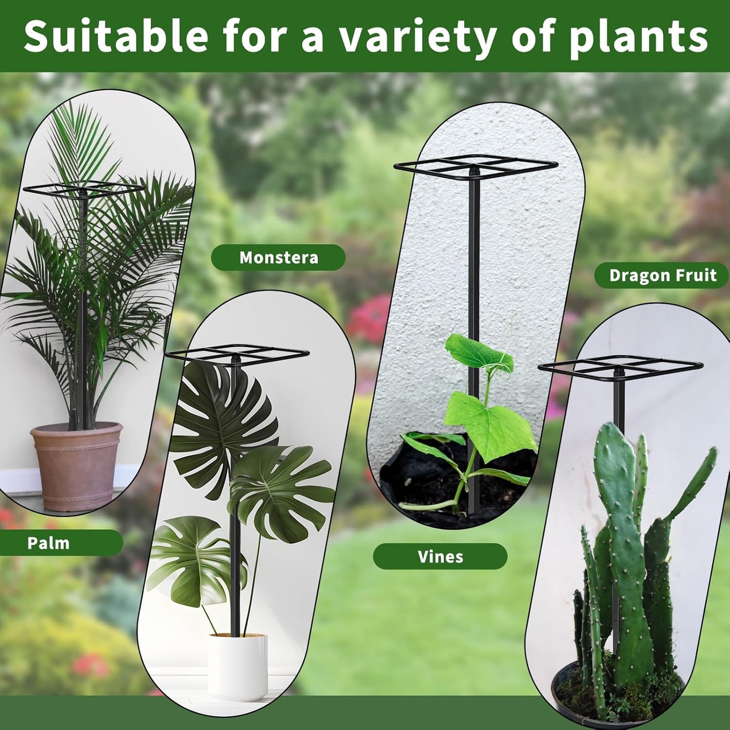 1 Pcs Adjustable Metal Dragon Fruit Plant Trellis 12" x 12" x 50" Durable Vertical Support Tower Plant Cage for Gardening Climbing Plants Trees Cactus Outdoor Garden, Installation Required